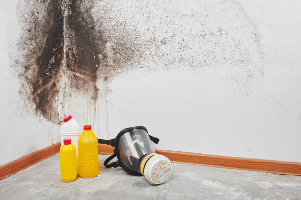 Best Post-Remediation Services in Tipton, CA