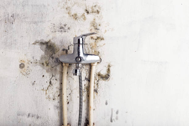 Best Mold Remediation for Schools in Tipton, CA