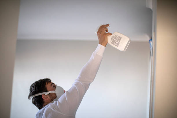 Best Industrial Mold Remediation in Tipton, CA